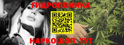 гашик Татарск