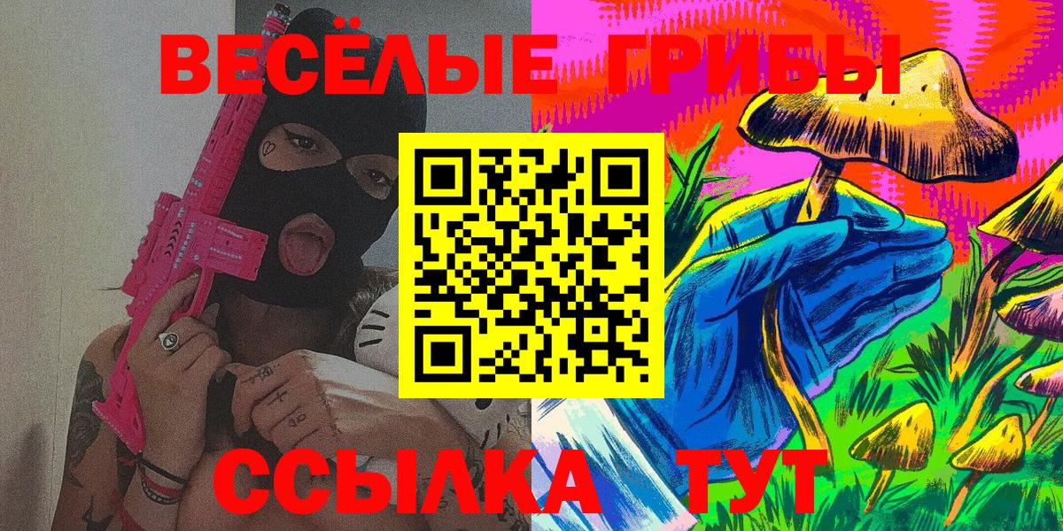 Псилоцибиновые грибы Psilocybe Муром