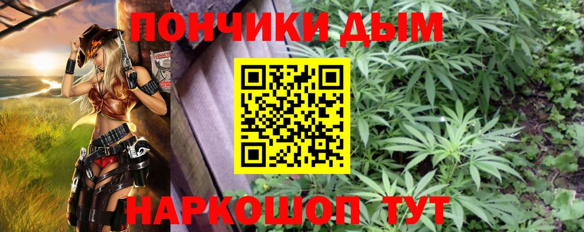 Марихуана гибрид Муром